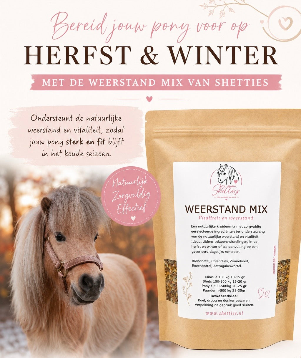 Bereid jij jouw pony voor op de herfst 🍂 en winter?