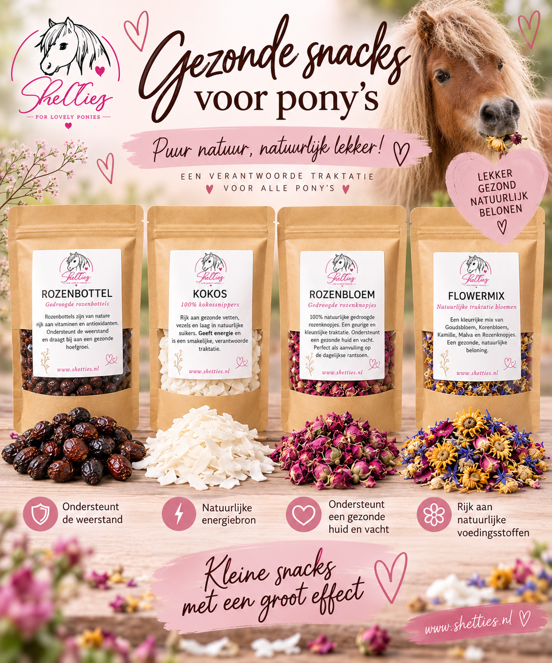 Natuurlijke traktaties voor Shetlanders & paarden | Shetties