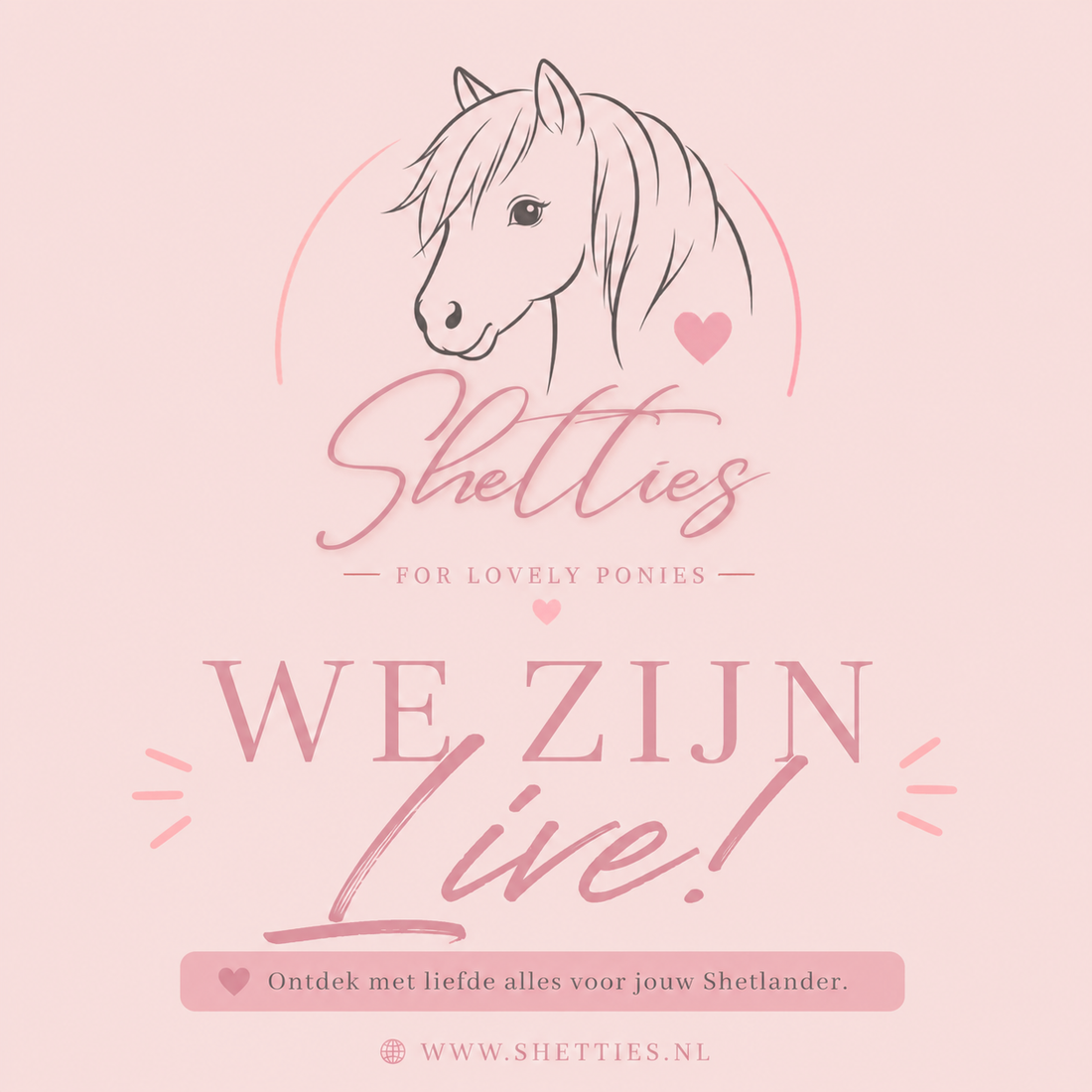 Opening webshop Shetties 💖👀