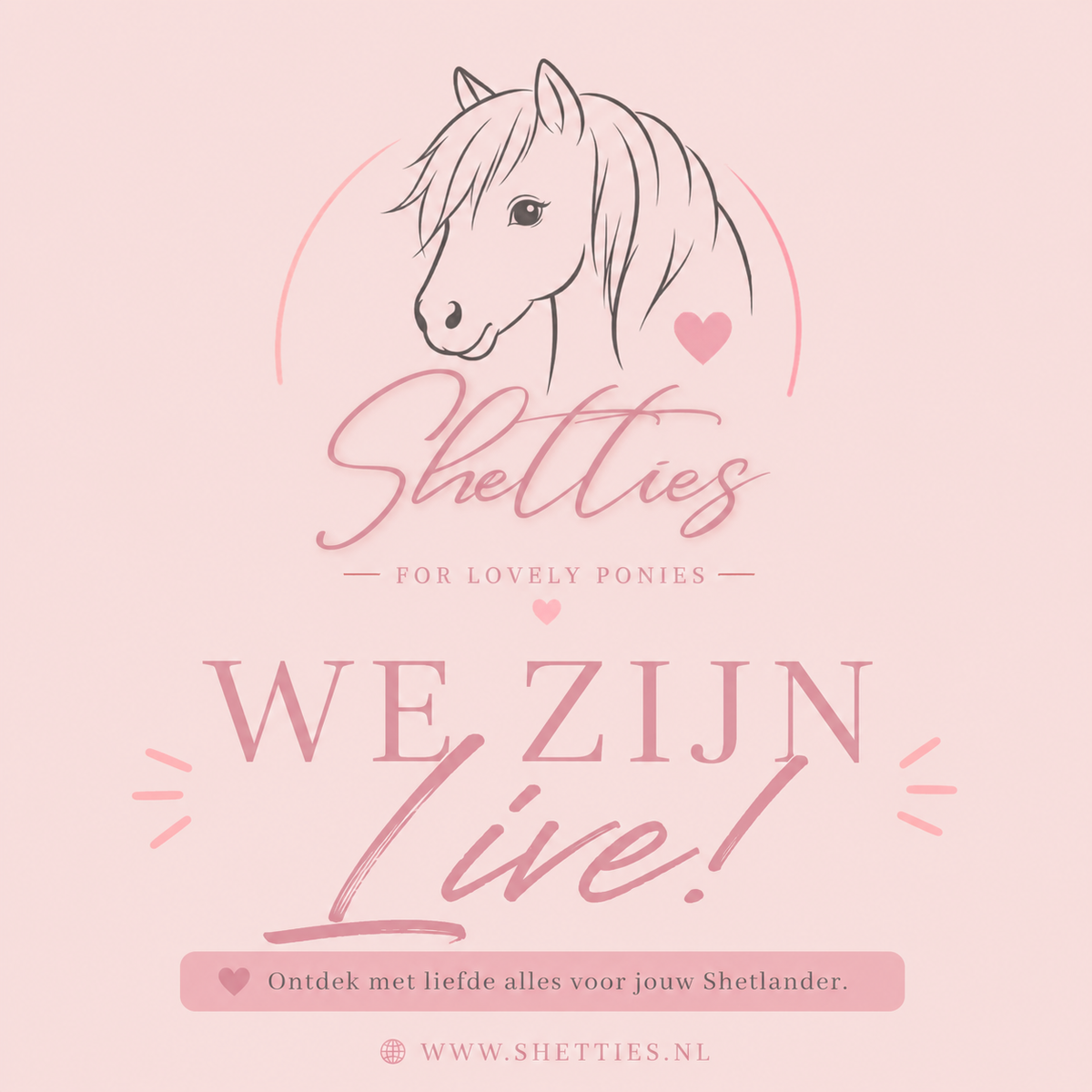 Opening webshop Shetties 💖👀