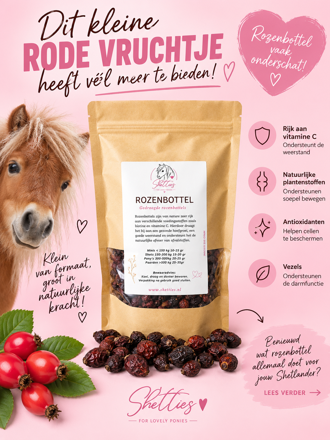 Rozenbottel, de kleine krachtpatser!