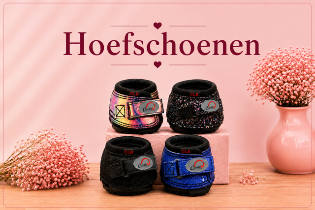 Hoefschoenen voor Shetlanders