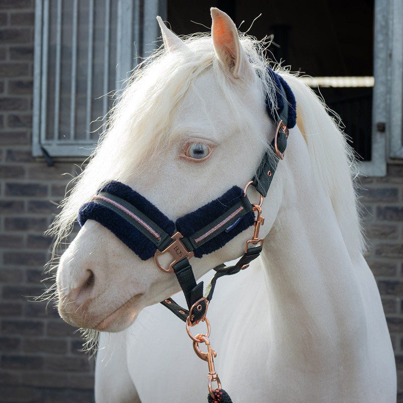 Soft halsterset in 4 kleuren | Shet