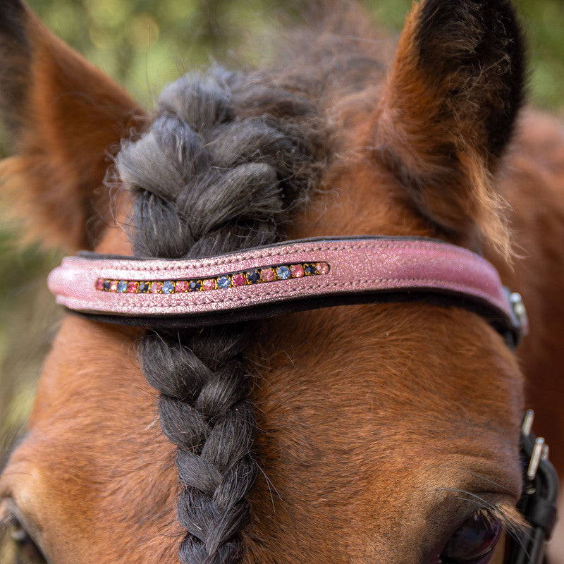 Hoofdstel Diva roze | Mini en Shet