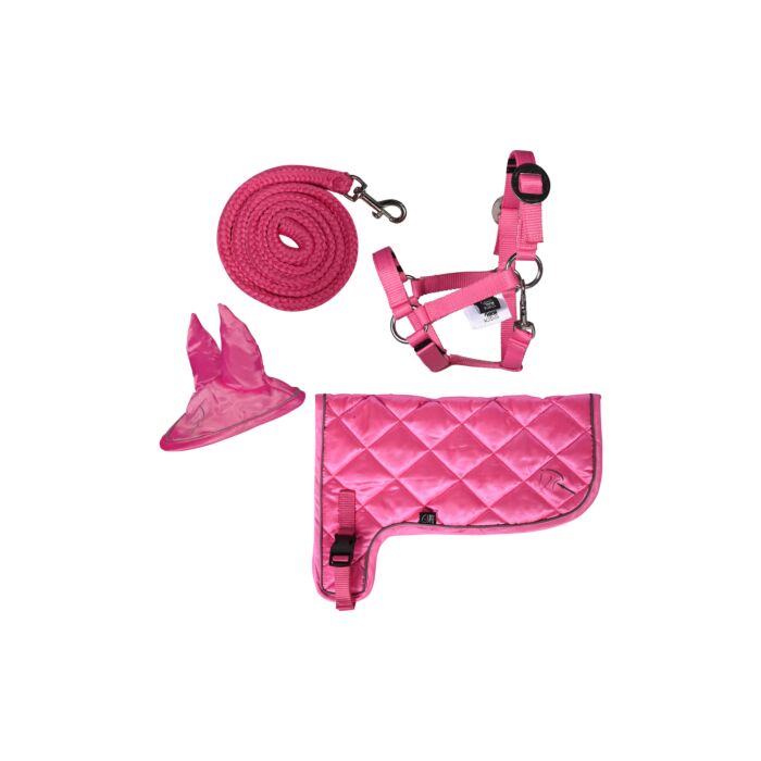 Neon roze Hobby Horse set | Shetties