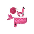Neon roze Hobby Horse set | Shetties