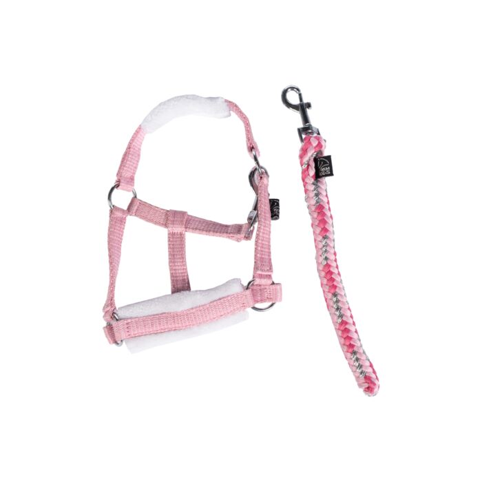 Cuddle pony set stars roze