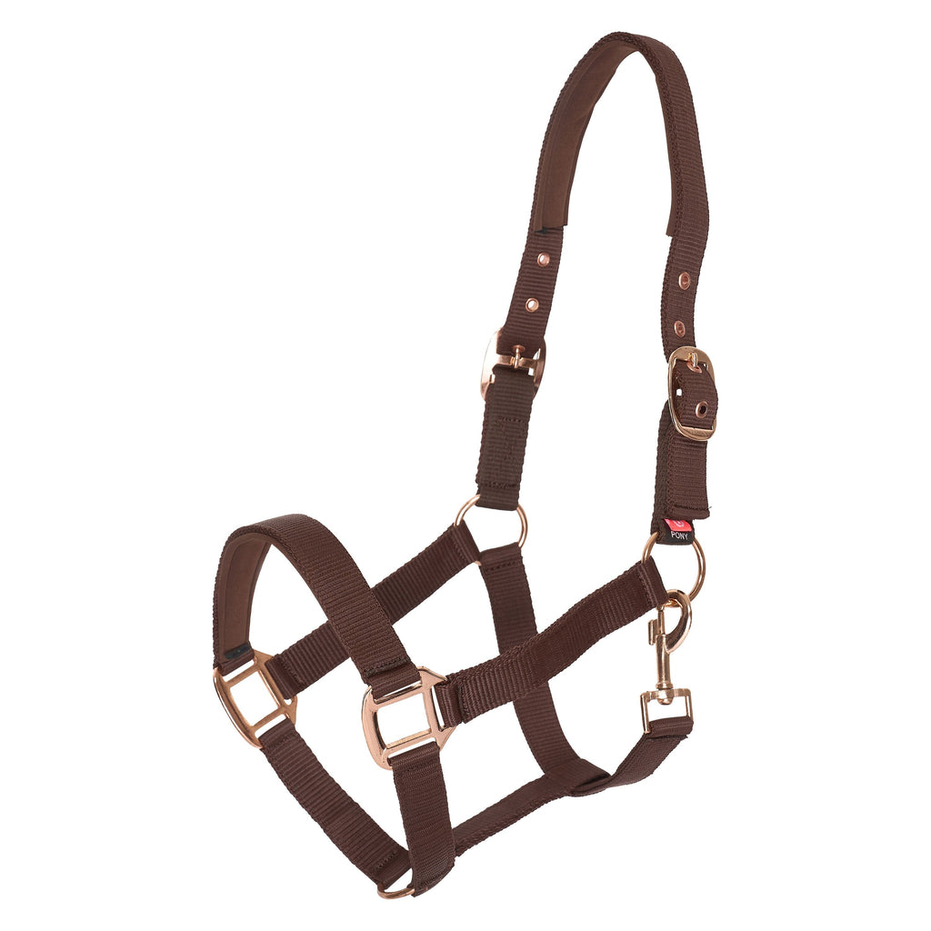 Halster Neopreen in 9 kleuren Imperial Riding| Foal
