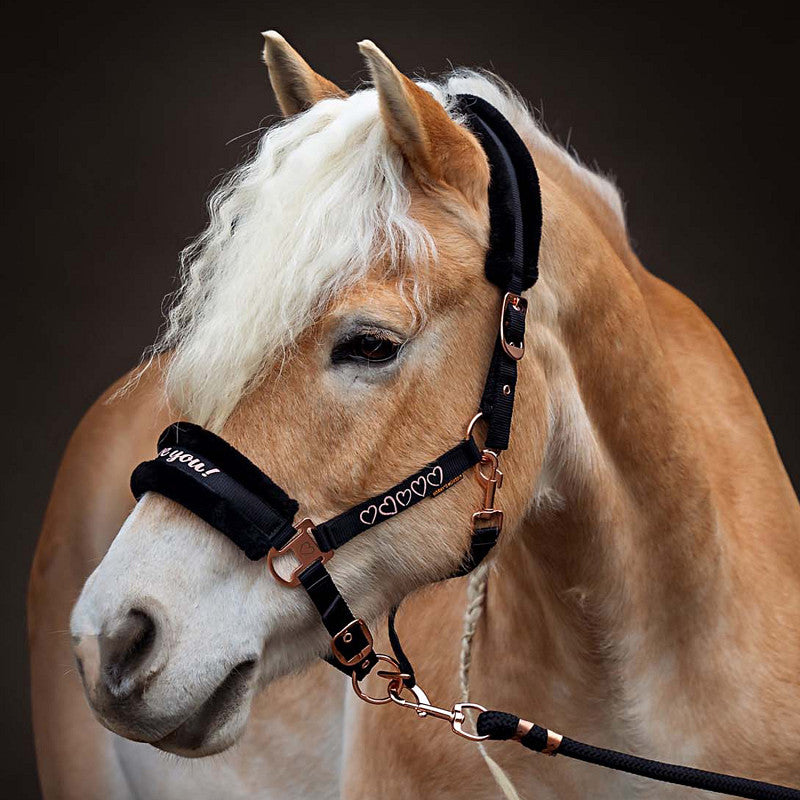 Halsterset Love Harry’s Horse | roze of zwart| Shet