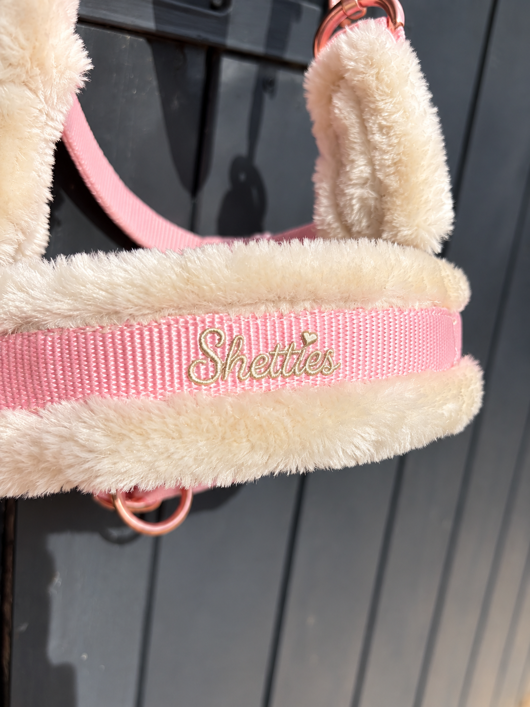 Shetties Halster & Halstertouw Pink