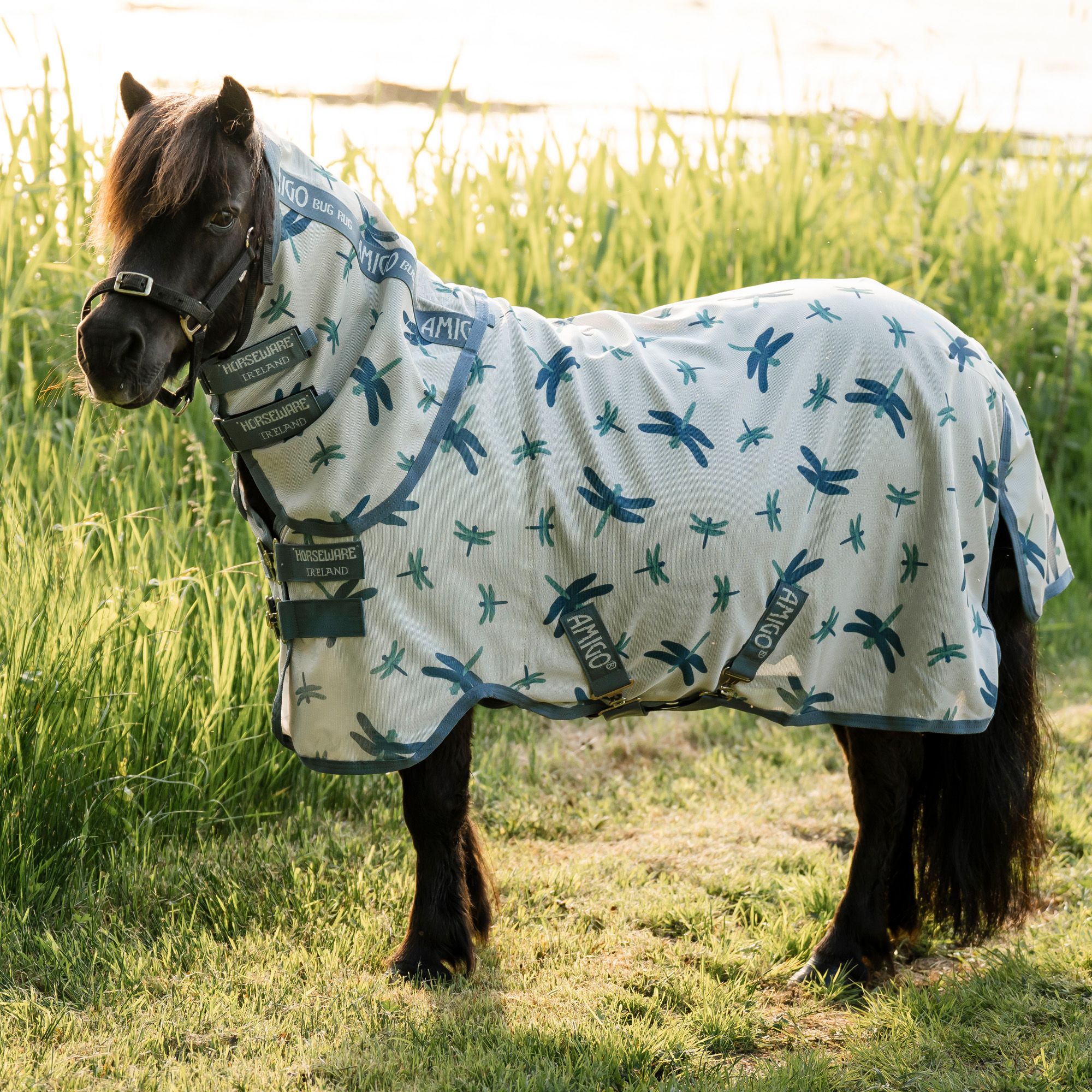 Amigo Bug Rug Petite| Dragonfly