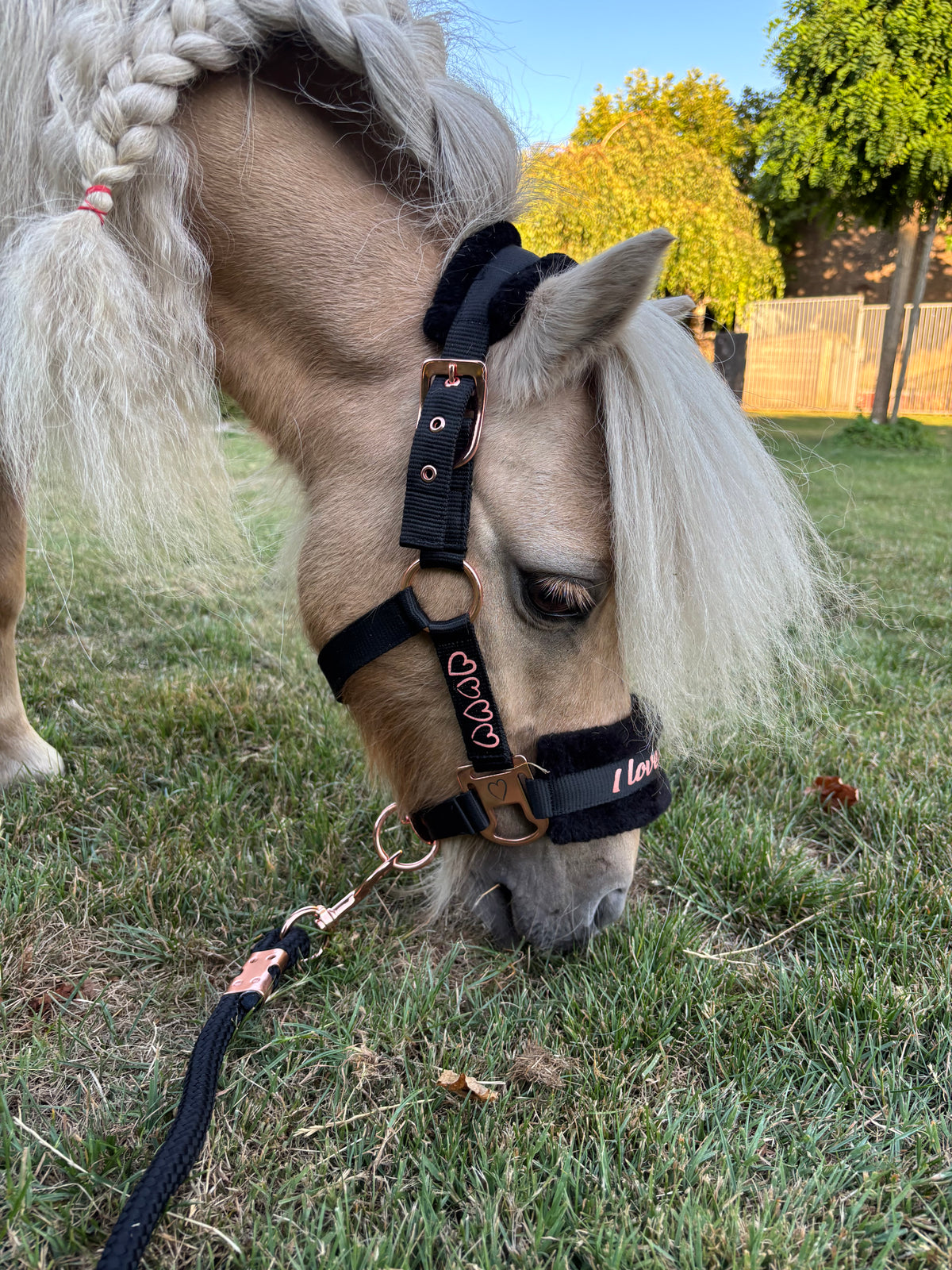Halsterset Love Harry’s Horse | roze of zwart| Shet