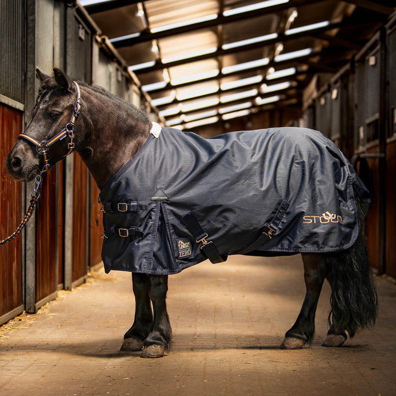 Stout! Regendeken Harry’s Horse