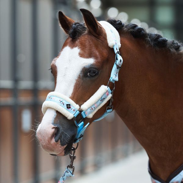 Halster Little Champion | Shet| Imperial Riding