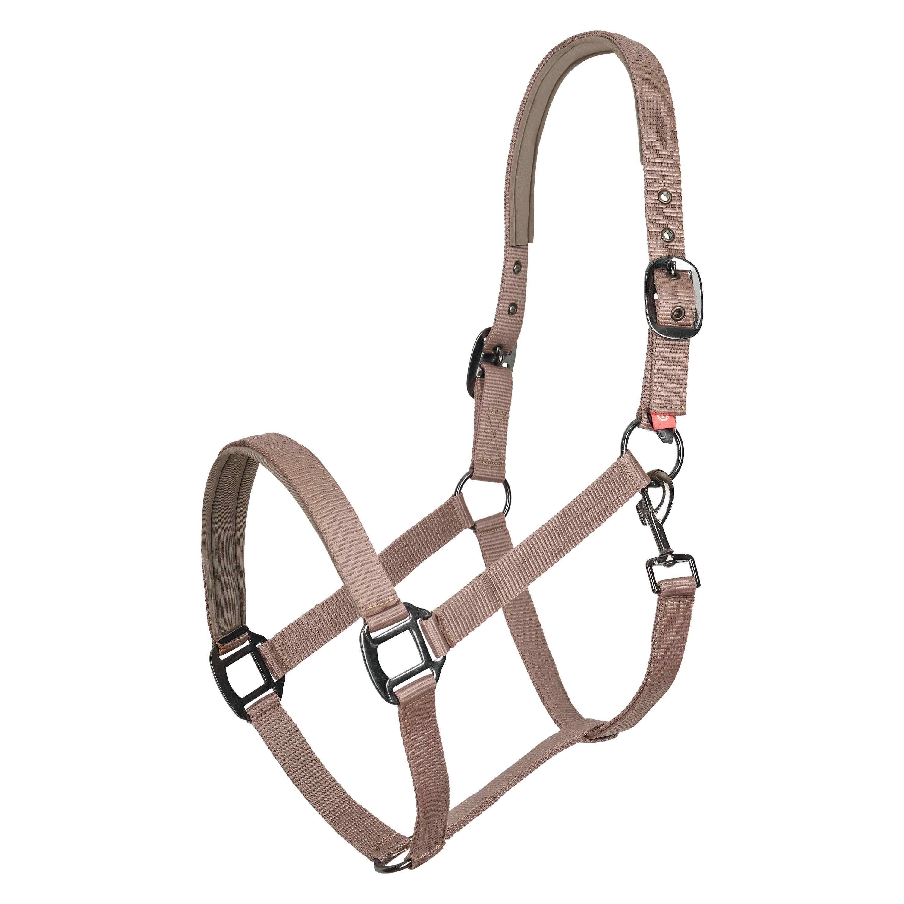Halster Neopreen in 9 kleuren Imperial Riding| Foal