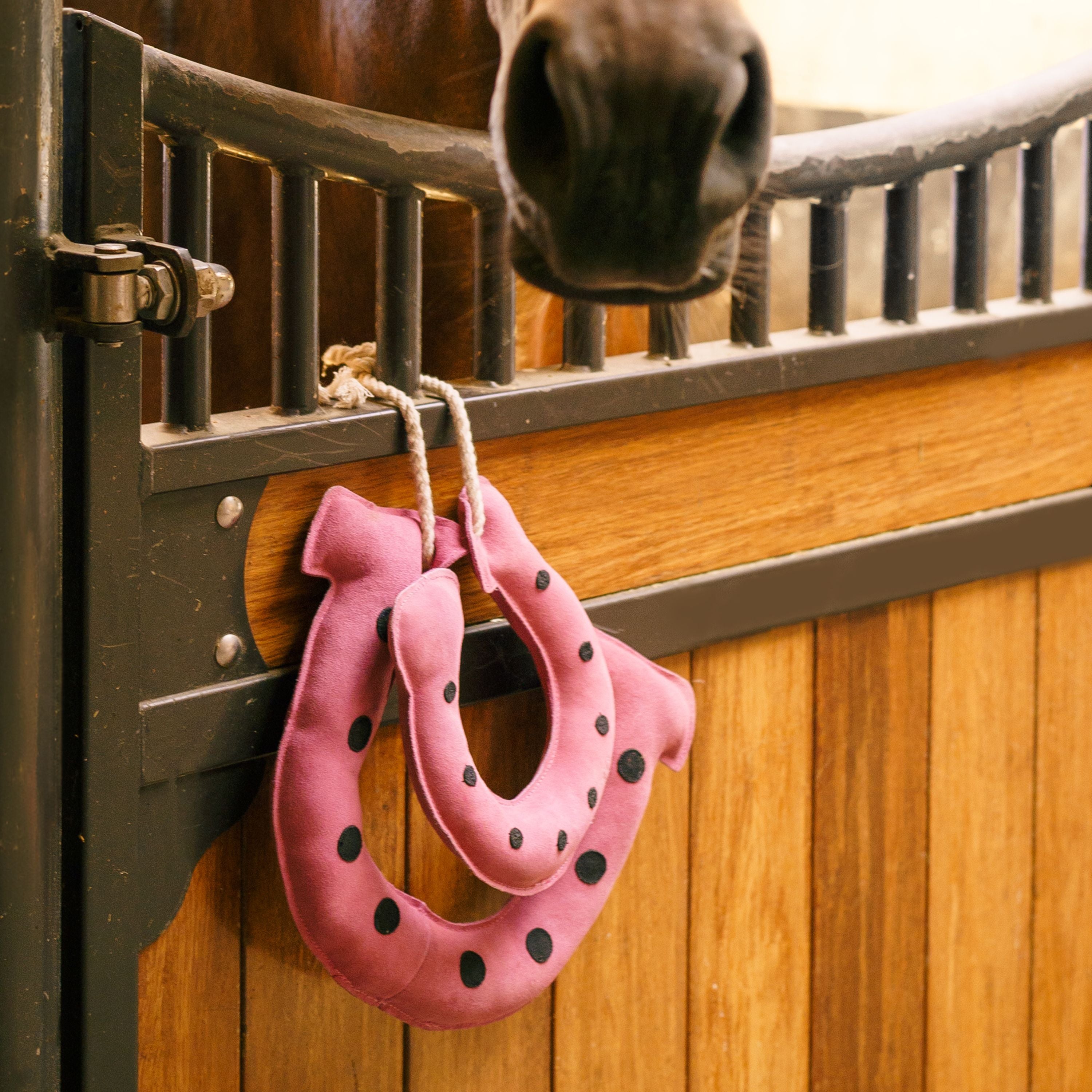 Stable Buddy Horseshoes | Imperial Riding