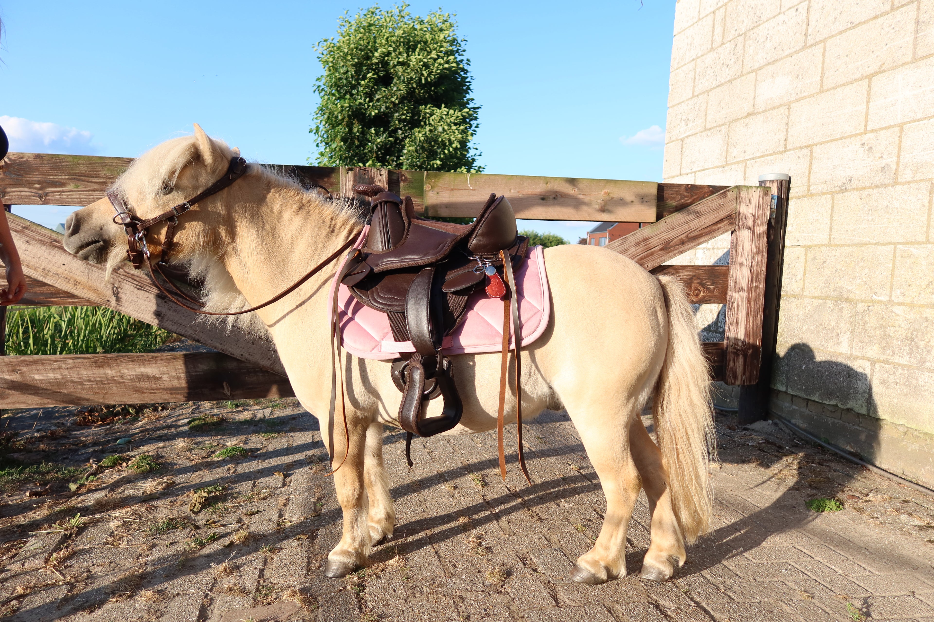 Boomloos Westernzadel  Bruin  10 inch of 12 inch
