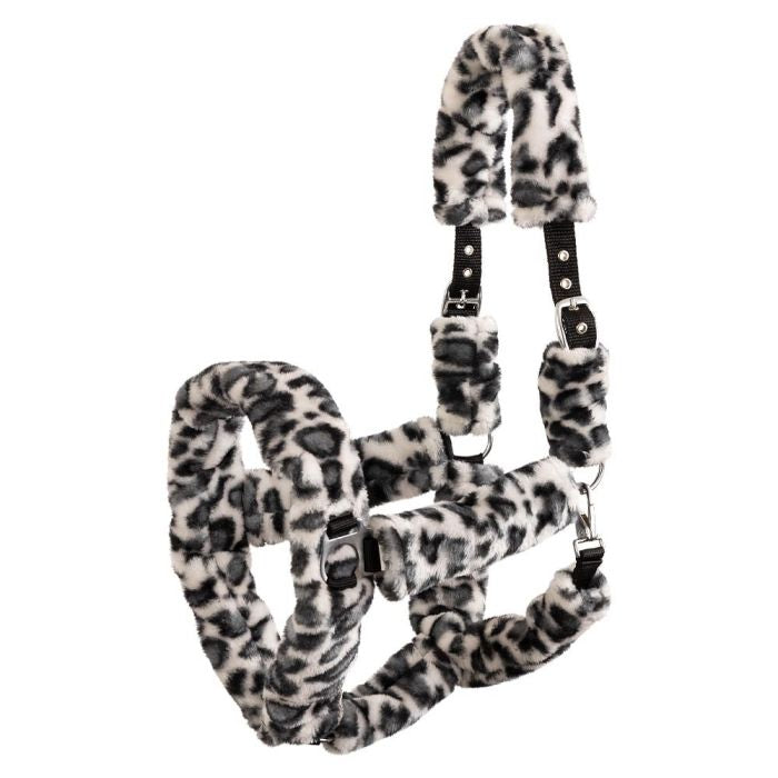 Leopard Halster Premiere | Shet