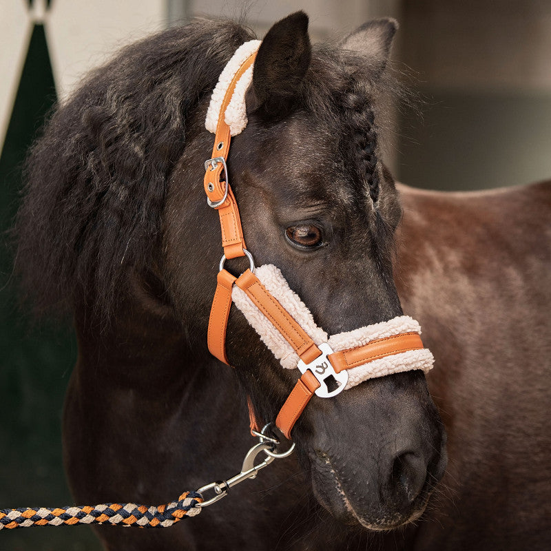 Halster Stout! Harry’s Horse | Mini en Shet