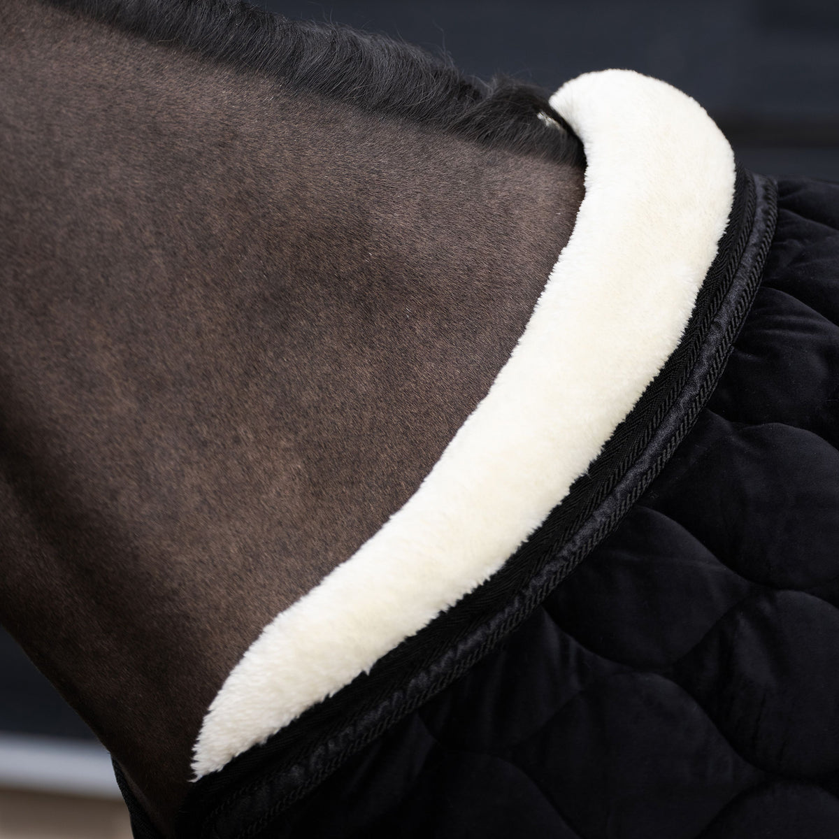 Luxe Showdeken Bandit | Zwart | Imperial Riding