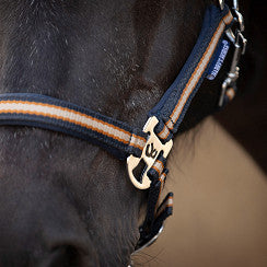 Harry’s Horse halster Stout! Maverick