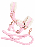 Shetties Halsterset | Mini en Shet | Lichtroze