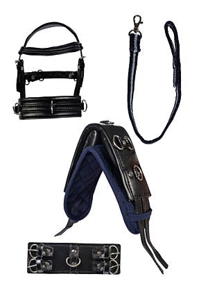 Longeerset voor de cuddle pony van HKM 