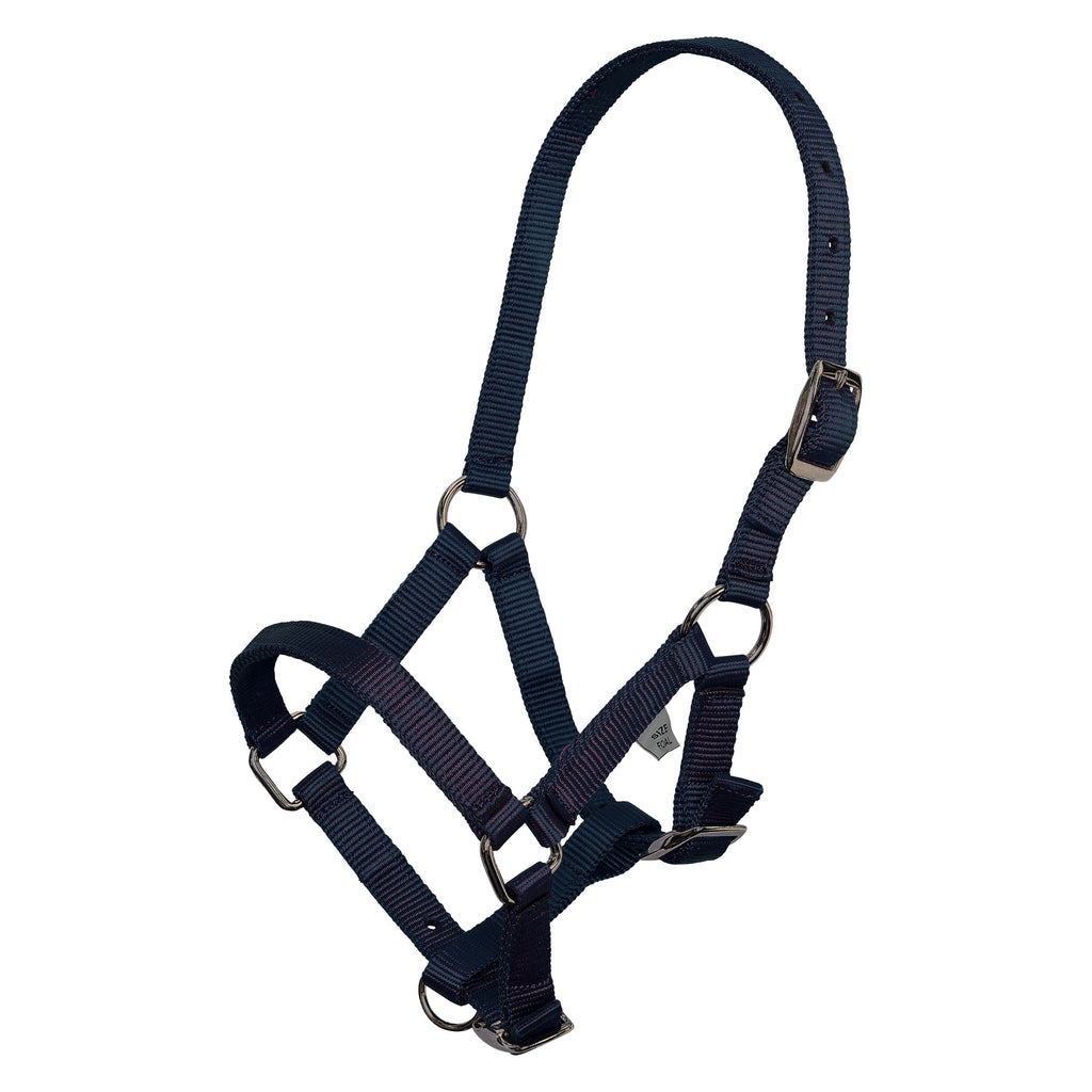 Basic halster in 5 kleuren | Foal