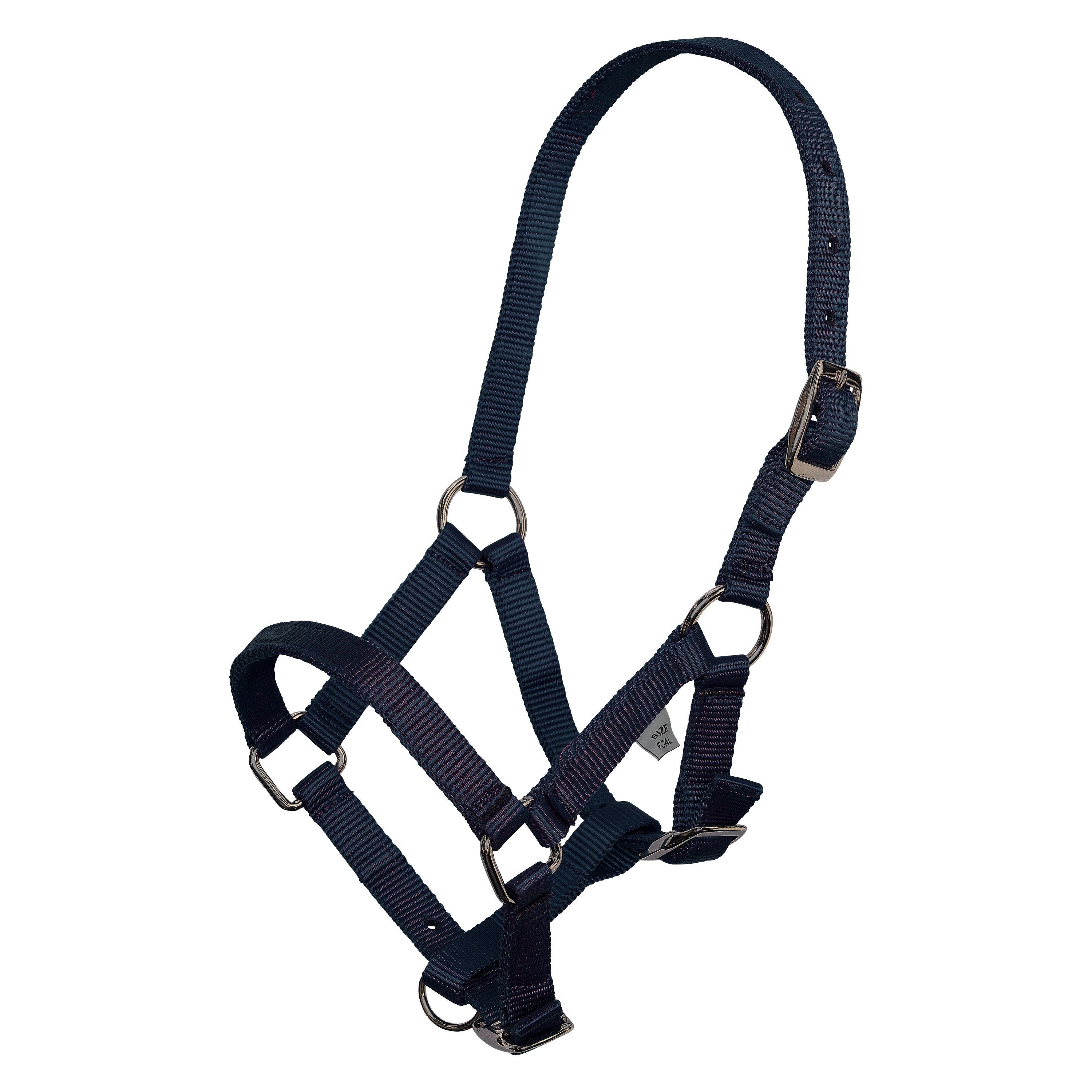 Basic halster in 5 kleuren | Foal