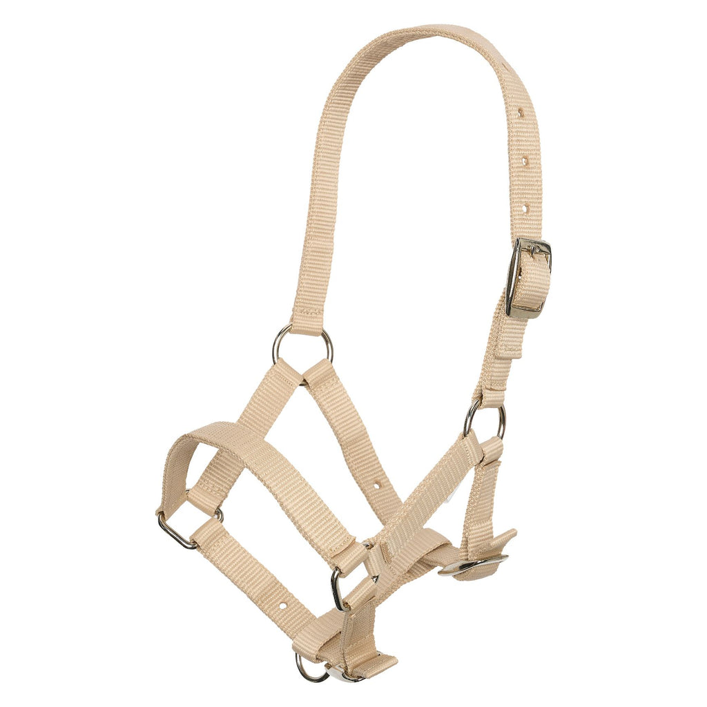 Basic halster in 5 kleuren | Foal