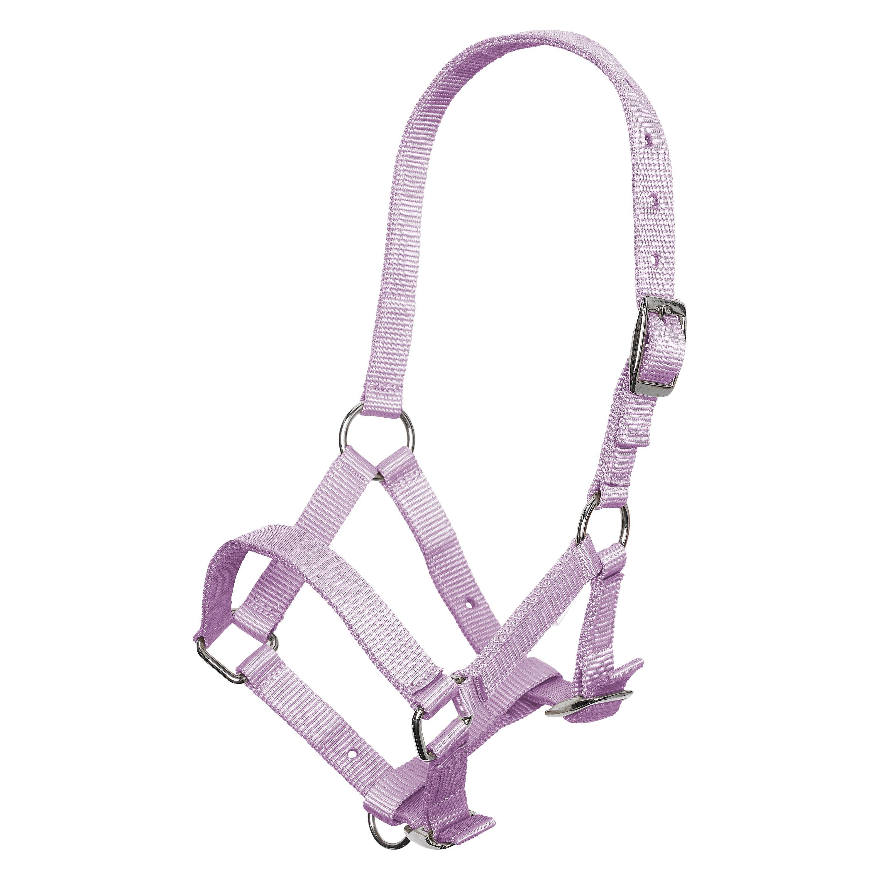 Basic halster in 5 kleuren | Foal