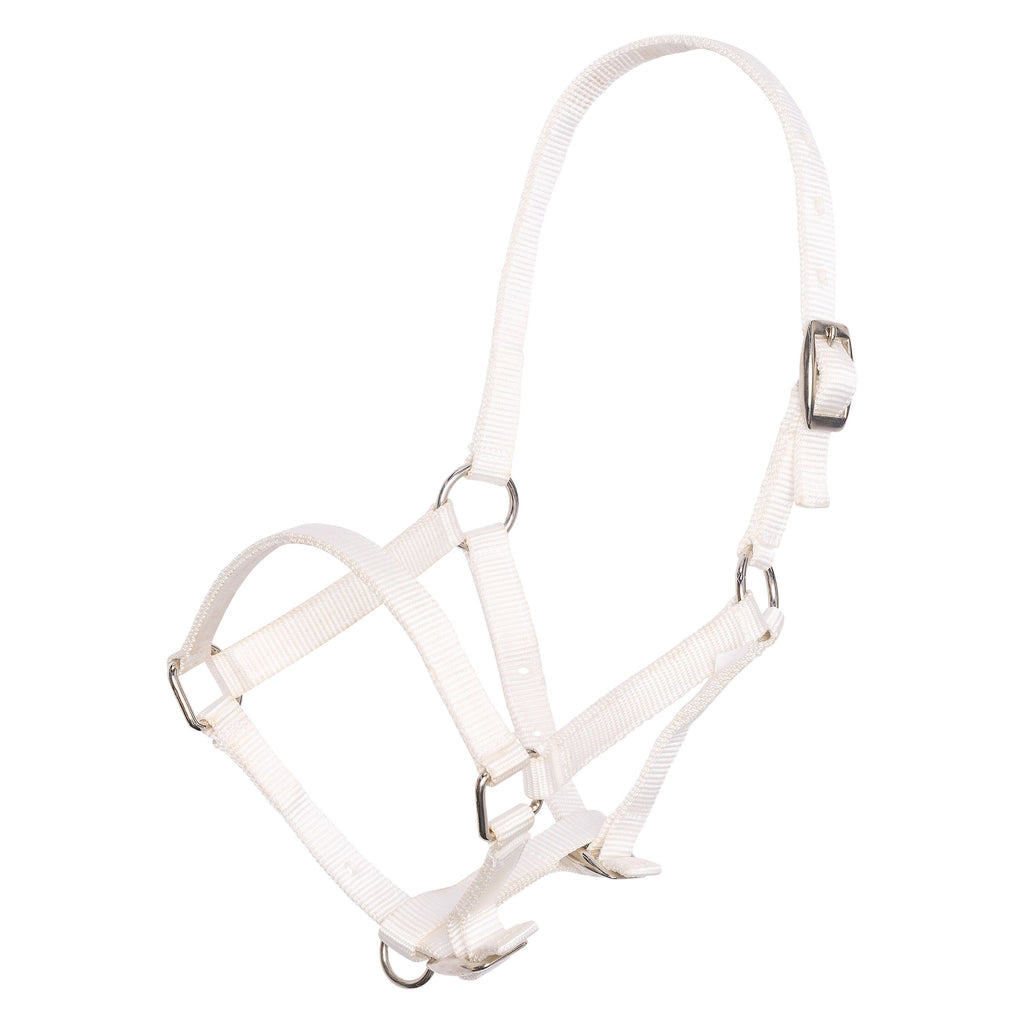 Basic halster in 5 kleuren | Foal