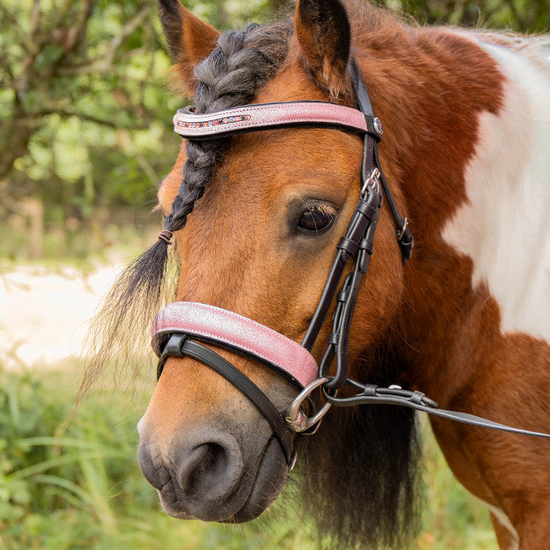 Hoofdstel Diva roze | Mini en Shet